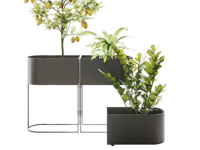 WINK - Painted metal plant pot _ Ronda Design