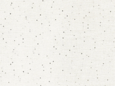 VIA LATTEA - Linen fabric for curtains _ Rubelli