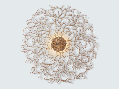 CORAL ZOA EYE EXTRA LARGE - Handmade bronze wall lamp _ Serip