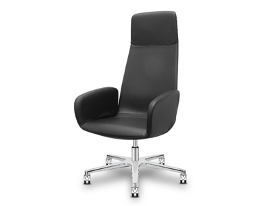 WHY NOT - High-back executive chair with 5-spoke base _ Sitland