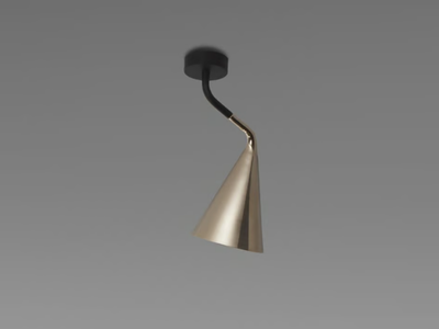 GORDON - Adjustable painted metal ceiling lamp _ Tooy
