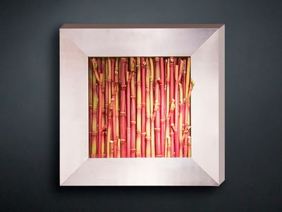 BAMBOO - Vegetal frame _ VGnewtrend