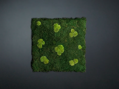 FLATMOSS CON POLEMOSS - Vegetal frame _ VGnewtrend