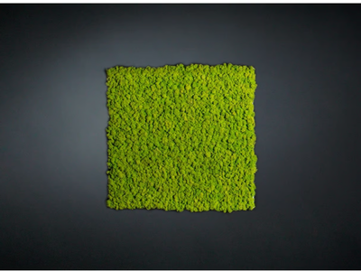 LICHENE - Vegetal frame _ VGnewtrend