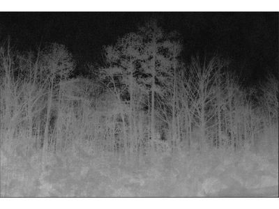 BLAIRWITCH - Rectangular cotton rug _ VIDAME EDITIONS