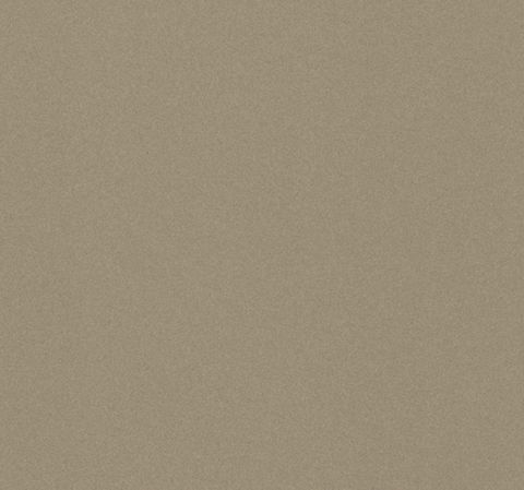Nickel painted