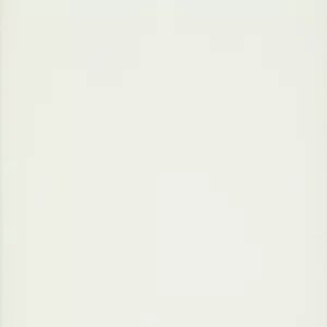 A019 White