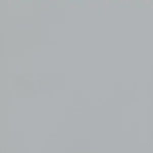 V110 Light grey
