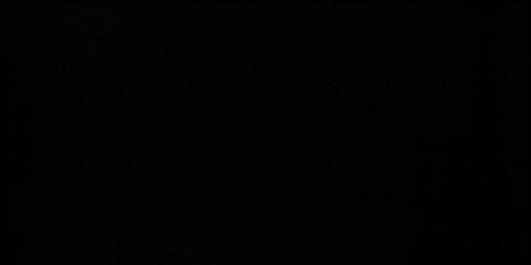Black RAL 9005