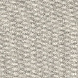 Pebble