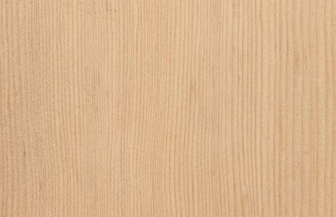 Canadian Hemlock