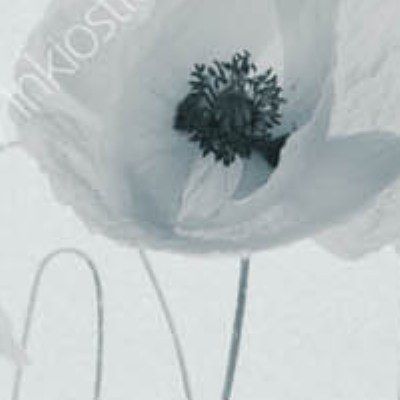INKPP1301
