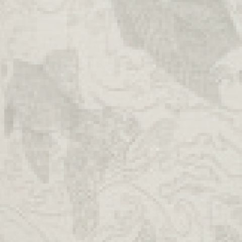 Wallpaper Lan-fish U0135056
