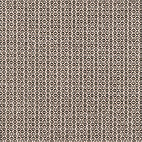 Cat4 Rubelli Broderie Taupe