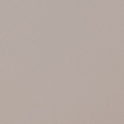 Warm Light Grey
