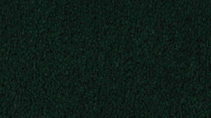 2610 Forest