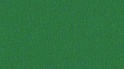 0551 Gras