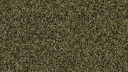 1510 Thymian