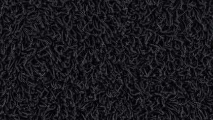 6550 Noir