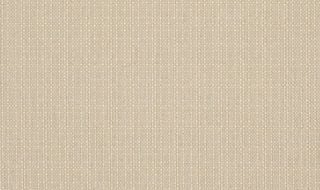 PA Beige 101