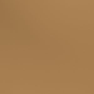 Trendy Metal - Gold (OR)